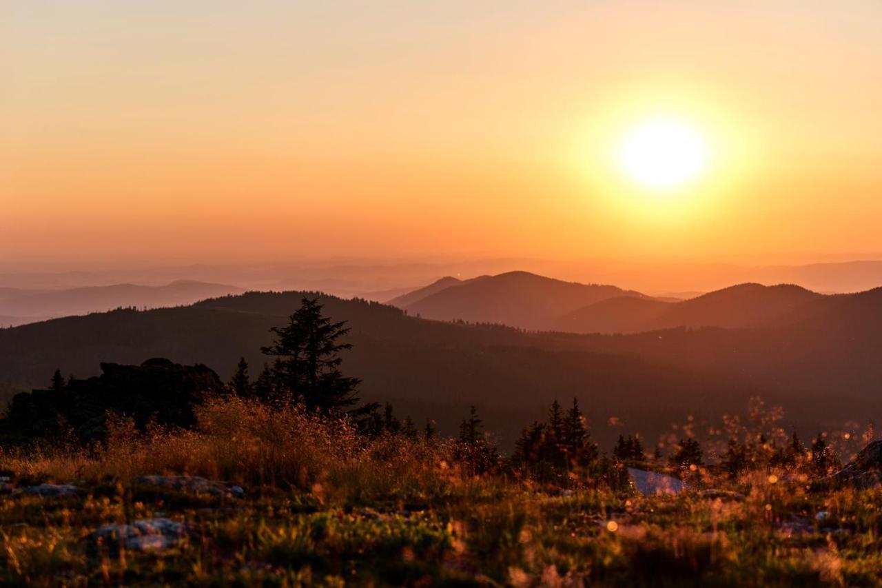Wander Und Aktiv Hotel Roesslwirt Lam Εξωτερικό φωτογραφία