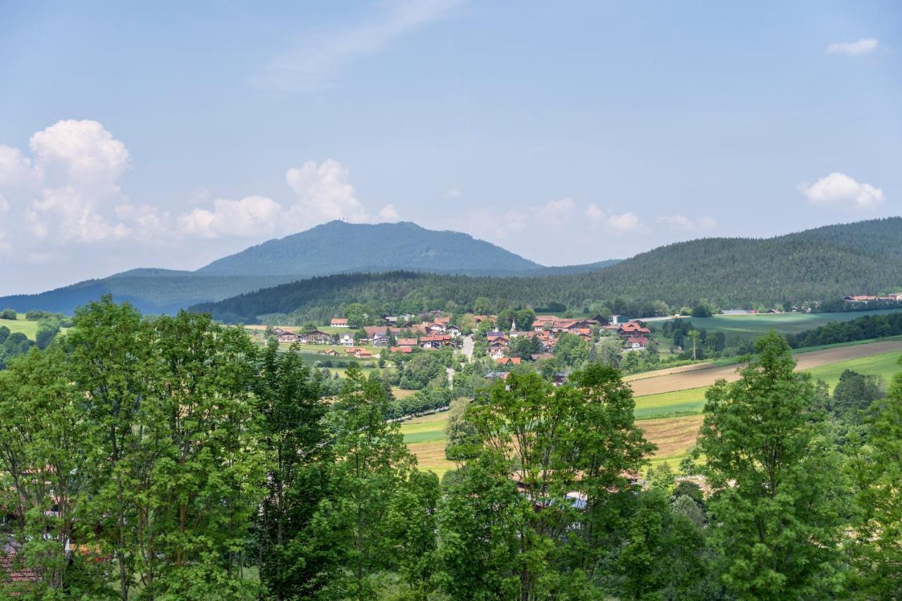 Wander Und Aktiv Hotel Roesslwirt Lam Εξωτερικό φωτογραφία